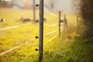 Electric Fence for Agricultural
